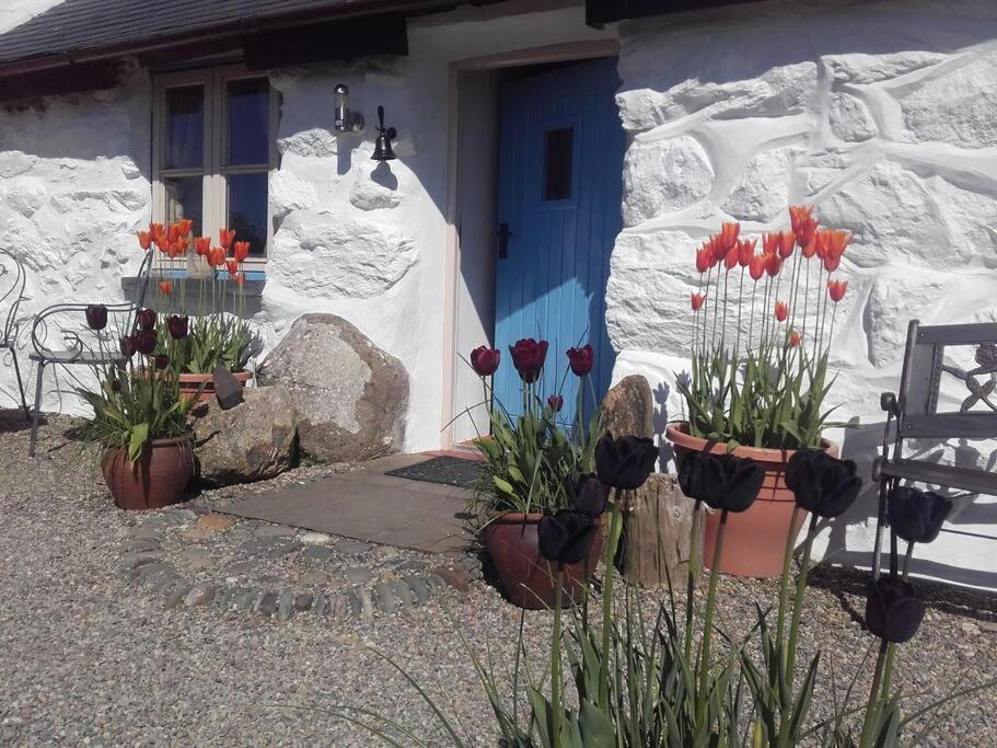 Traditional Stone Cottage With Sea Views In Snowdonia National Park Brynkir Bagian luar foto