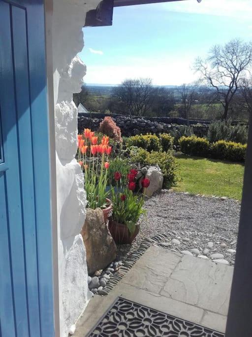 Traditional Stone Cottage With Sea Views In Snowdonia National Park Brynkir Bagian luar foto